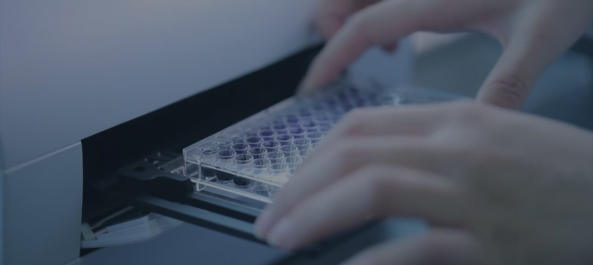 邦森 · 實(shí)力保障