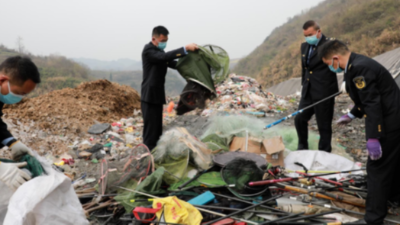 獸藥大檢查來了，覆蓋全行業(yè)！農(nóng)業(yè)農(nóng)村部嚴(yán)厲打擊使用原粉、中間體、人藥、自家苗、假獸藥等違法行為！-上海邦森